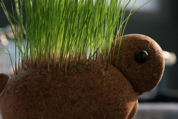 我的Arduino知识网站创立之旅